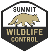 Summit Wildlife Control Icon